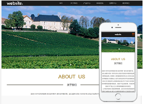 煙酒行業響應式模板